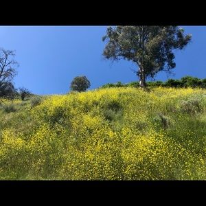 Meet your Posher, Elcin